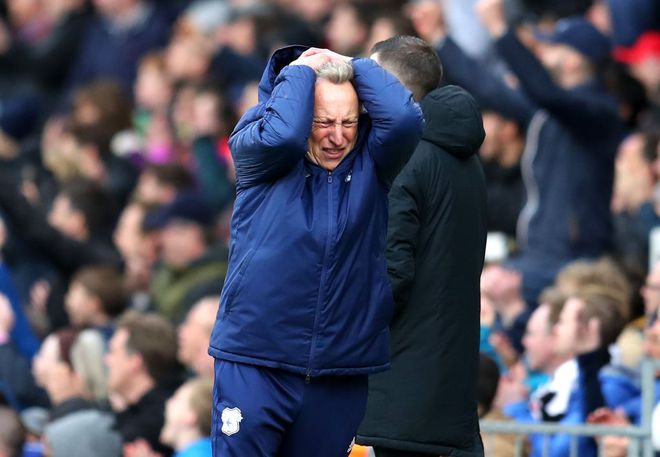 关于卡迪夫城主场告负，保级形势岌岌可危的信息