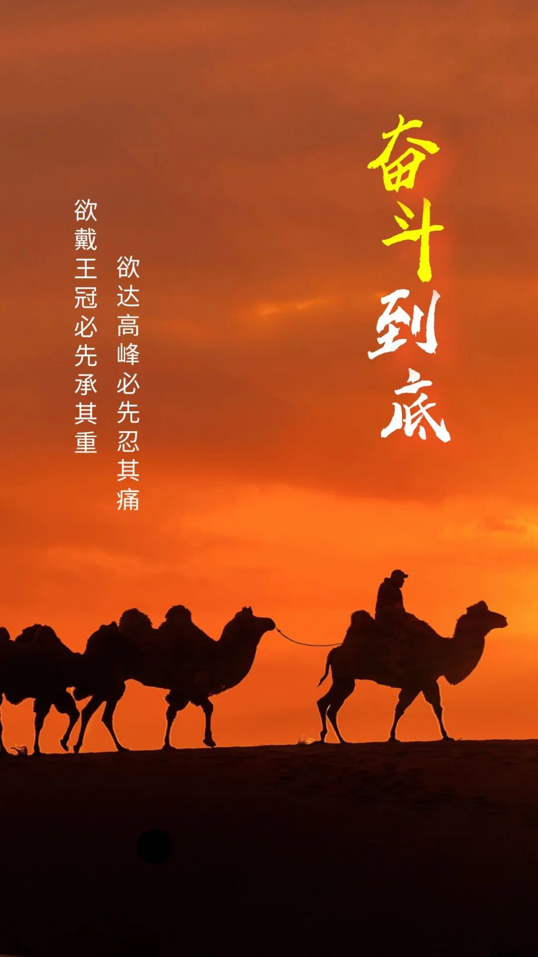 开云体育入口-包含强者脱颖而出，雄心壮志闪耀赛场的词条